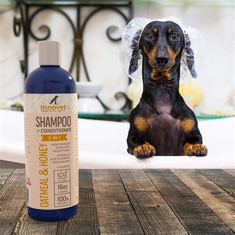 How Madic Coat Hypoallergenic Shampoo Can Help Calm and Soothe Your Anxious Dog